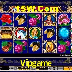 Experiência VIP Vipgame